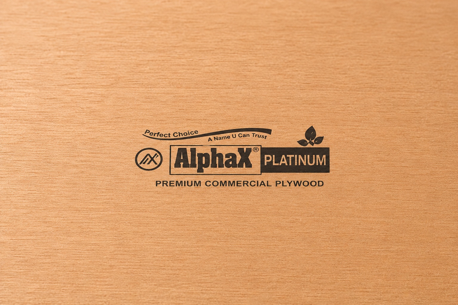Premium Commercial Plywood